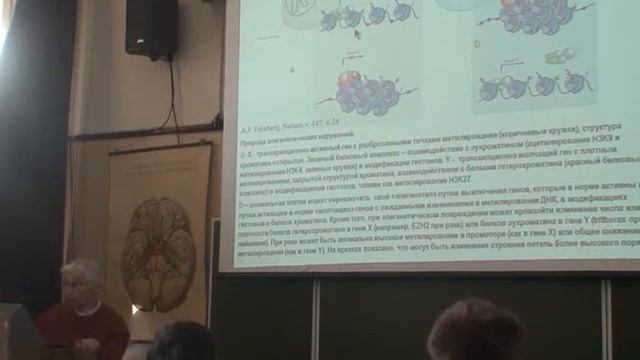 Полетаева И.И - Основы этологии и генетики поведения Лекция 3 смотреть онлайн