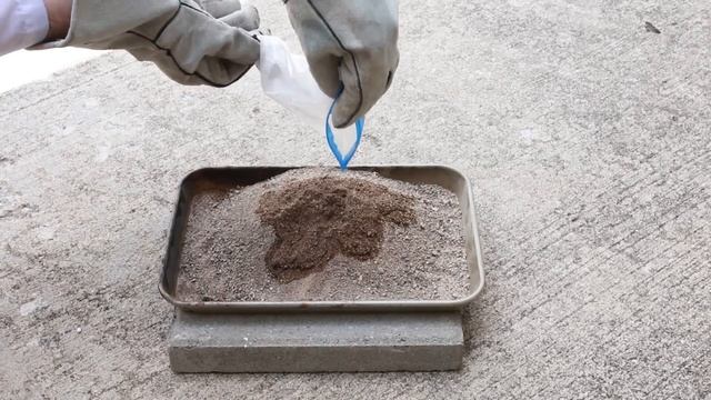 Carbon Sugar Snake Experiment (Chemistry) смотреть онлайн