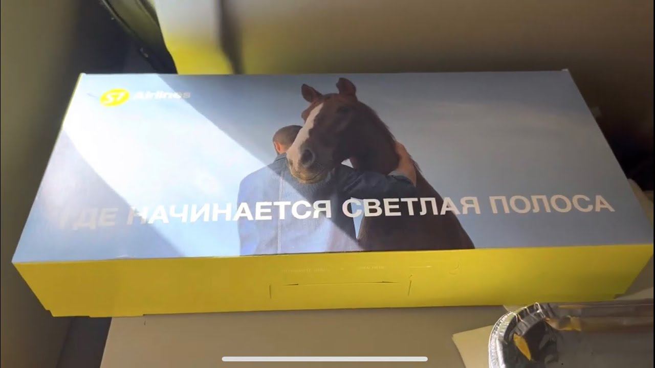 Обзор горячего обеда на борту S7 / Май 2023 (внутренний рейс) смотреть онлайн