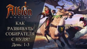 Albion online _ КАК РАЗВИВАТЬ СОБИРАТЕЛЯ С НУЛЯ_ День _ 1- 3