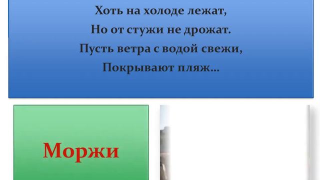 "Загадки живой природы" (СКЦ Черноерковский) смотреть онлайн