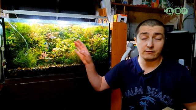 Когда менять губку фильтра! смотреть онлайн