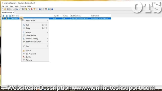 Create New keystore | Default Keystore password | Manage it with Keystore explorer app. смотреть онлайн
