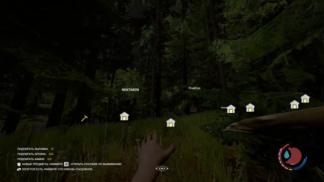 ГОЛОДНЫЕ ИГРЫ в The Forest смотреть онлайн