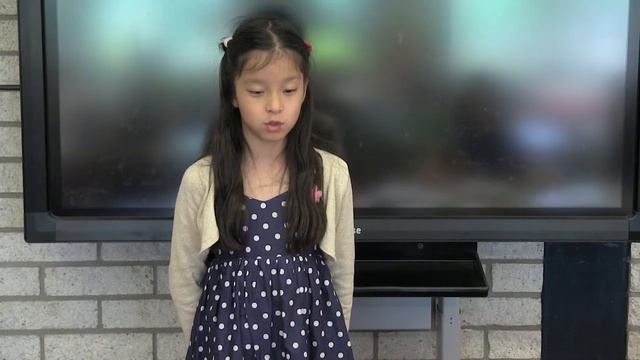 Пушкинский бал в Пушкинской школе, г. Лейден, Нидерланды, 5 июня 2016 г. смотреть онлайн