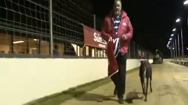 2017 SUNBETS STANDARD - T2 BAR THE WARRIOR смотреть онлайн