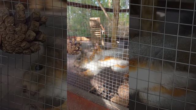 Территория отеля #Нижегородская область # Река Ока смотреть онлайн