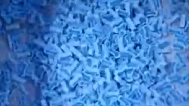 линия для собачьих двухцветных жевательных снеков смотреть онлайн