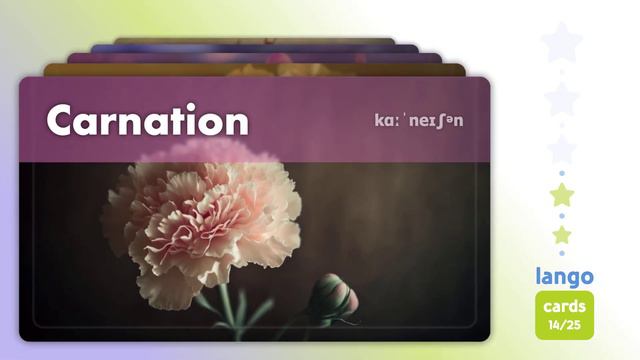 Flowers in English | Learn English Vocabulary смотреть онлайн