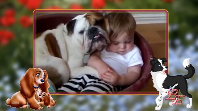 Любить учитесь, люди, у собак смотреть онлайн