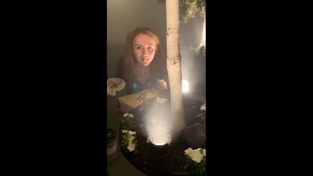 1 месяц унижений - Дубай. Валим отсюда нахер смотреть онлайн
