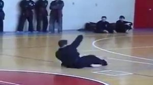 Вьетнамское Кунг-фу, Форма Змеи, Cтиль Змеи