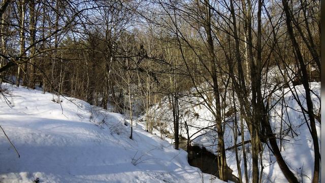 25 марта 2024 года