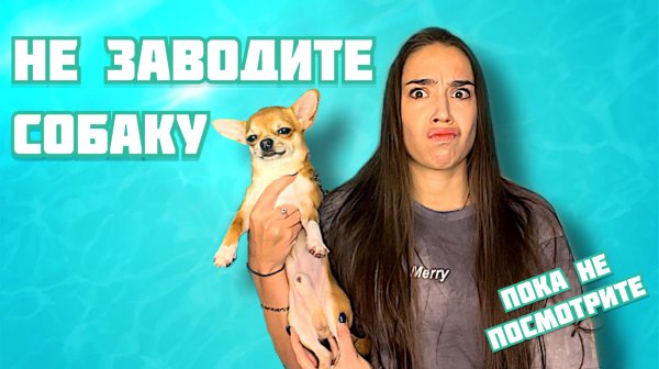 НЕ ЗАВОДИТЕ СОБАКУ, пока не посмотрите это видео!
