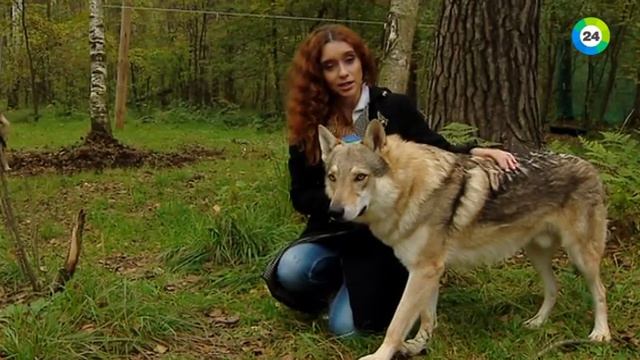 Елизавета Генералова ШоурилNEW смотреть онлайн