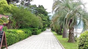 Что посмотреть в Абхазии - Приморский парк в Гагре