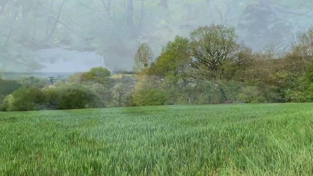 Samurai's Takeda Shingen? Easy to understand explanation! смотреть онлайн