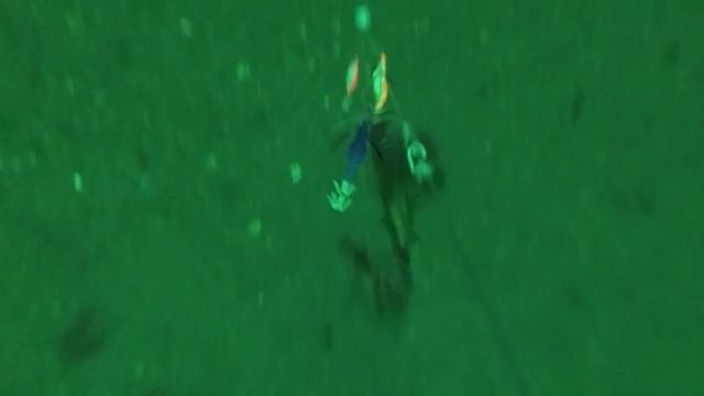 How Squid React To Weighted vs Floating Jigs (Underwater Squid Fishing) смотреть онлайн