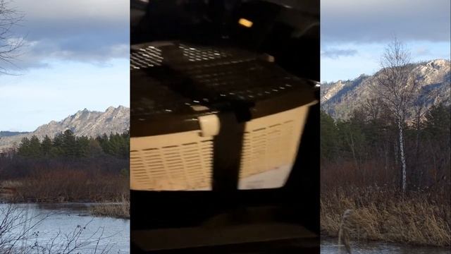 Доставка кроликов в Таджикистан / Отзывы Моряк смотреть онлайн