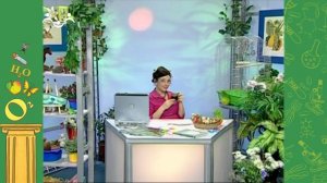 АЗН. Биология. Доместикация. Ваниль. Хамелеон