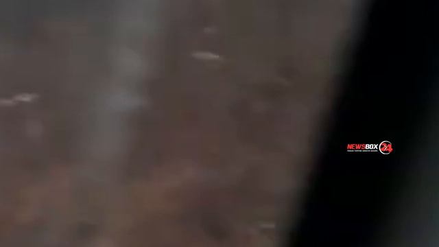 У тоннеля в Хасанском районе близи дороги замечен тигр смотреть онлайн