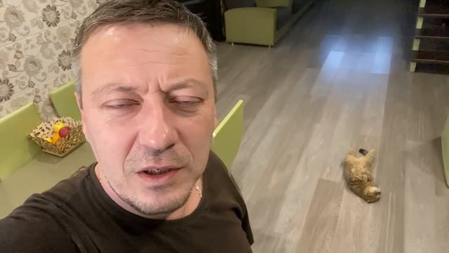 ПАПА подкупает СЫНОВЕЙ чтобы они съехали от него?! смотреть онлайн