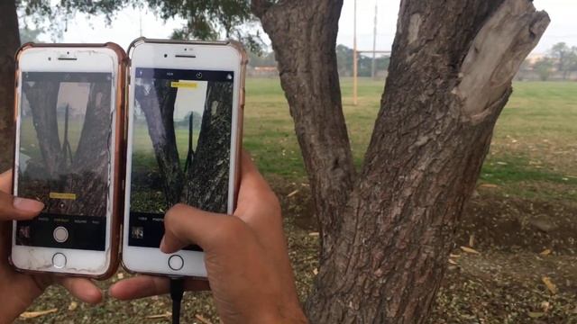 iPhone 7 Plus vs iPhone 8 Plus Portrait Mode Camera смотреть онлайн