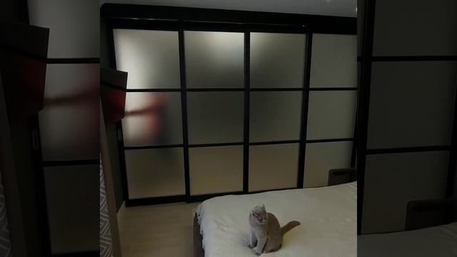 Раздвижные перегородки в Хабаровске смотреть онлайн