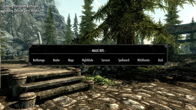 Skyrim Roleplay Dark Mage 