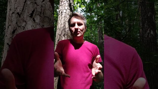 Почему нельзя медитировать на "Я есть ВСЕ" смотреть онлайн