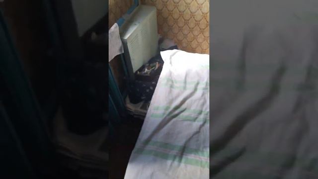 Жибер ползает по пакетам и ящикам/ Бритьё ножницами Виктора Аркадьевича смотреть онлайн