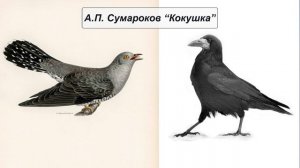 А.П. Сумароков «Кокушка»