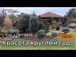 Прогулка обзор сада Растения подписаны Садовые работы осенью Хвойные Кустарники Многолетники Архив