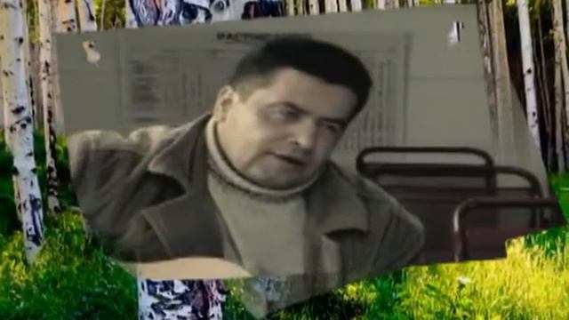 От чего так в России берёзы шумят