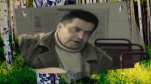 От чего так в России берёзы шумят