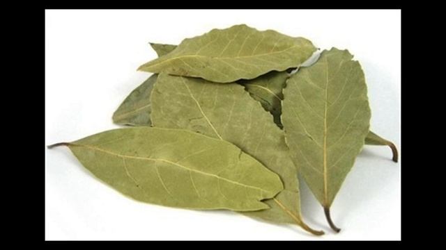 Применение лаврового листа при сахарном диабете смотреть онлайн