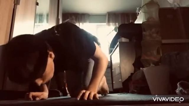 Наблюдение за животными «Дикий кабан» смотреть онлайн