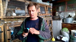 Поилки для кроликов. Какая поилка лучше. Обзор моих поилок.