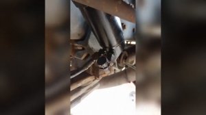 Замена цилиндра кабины Даф 95 АТИ. Замена насоса подъёма кабины .