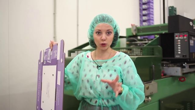 Как выращивают органические апельсины? Экоблог Анны Тятте. смотреть онлайн