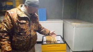 Изоляция Маток -Ответы на Вопросы!!!