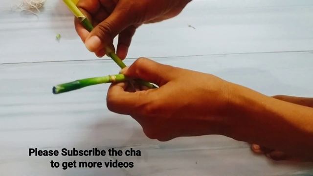 Very Simple Design With Lucky Bamboo|Lucky Bamboo To Decorate The House|Lucky Bamboo Amazing Design