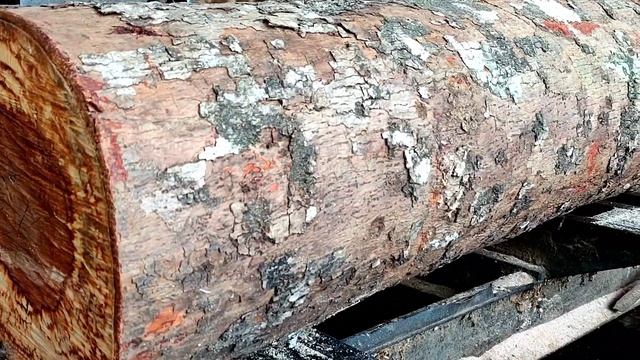 Rare Wood || Cutting The Most Beautiful Red Wood In The Sawmill