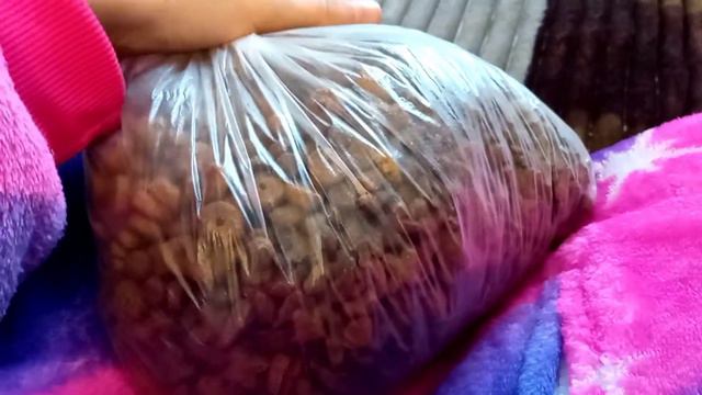 Зоо покупки для папуги,хом'ячка та котика 🐹🦜🐈👍 смотреть онлайн