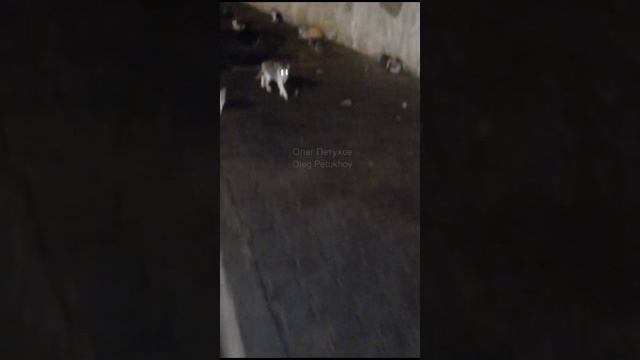 Марокко. Morocco. 摩洛哥。 смотреть онлайн