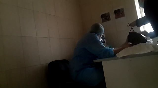 ? У нашей кошки ЖИДКОСТЬ в животе. Откачка жидкости из брюшины в ветклинике. Кошкин влог смотреть онлайн
