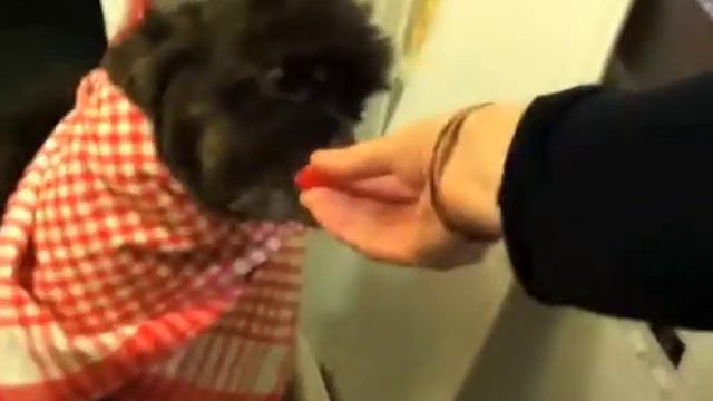 жасмин и кухня смотреть онлайн