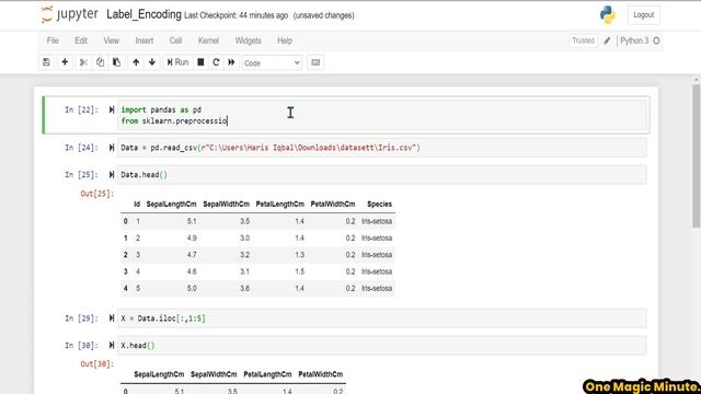 What is Label Encoding | Python | ML | Jupyter Notebook | One Magic Minute смотреть онлайн
