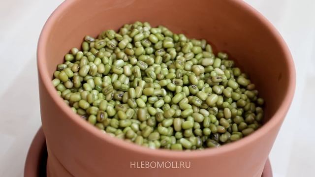 Проращивание зерна и семян - спраутер Tonkeimer смотреть онлайн