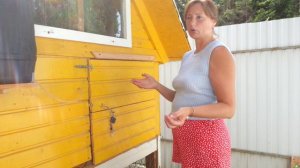 Курятники на 10 кур. Обзор, основные элементы. Куры несушки.